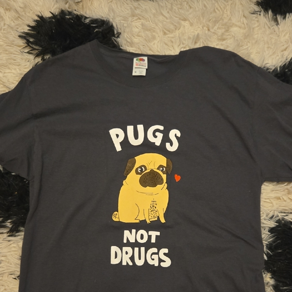 Fruit of the Loom Gray Dog T-Shirt with Cute Pug Design